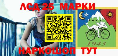 индика Рузаевка