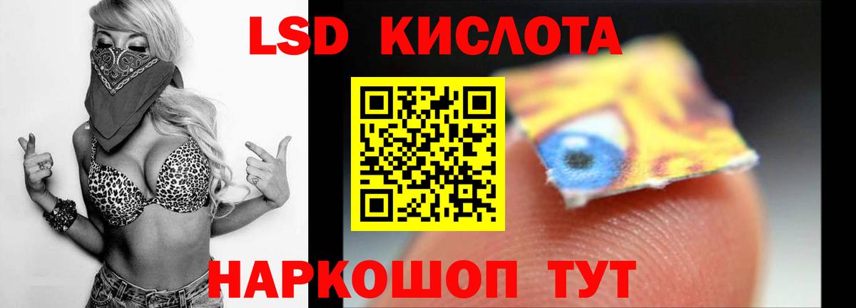Альфа ПВП Пугачёв