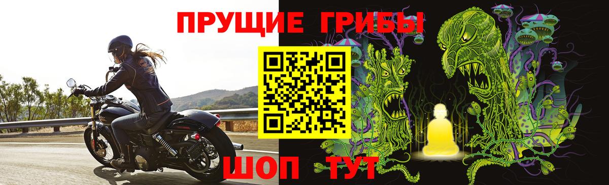 Псилоцибиновые грибы мухоморы Пугачёв